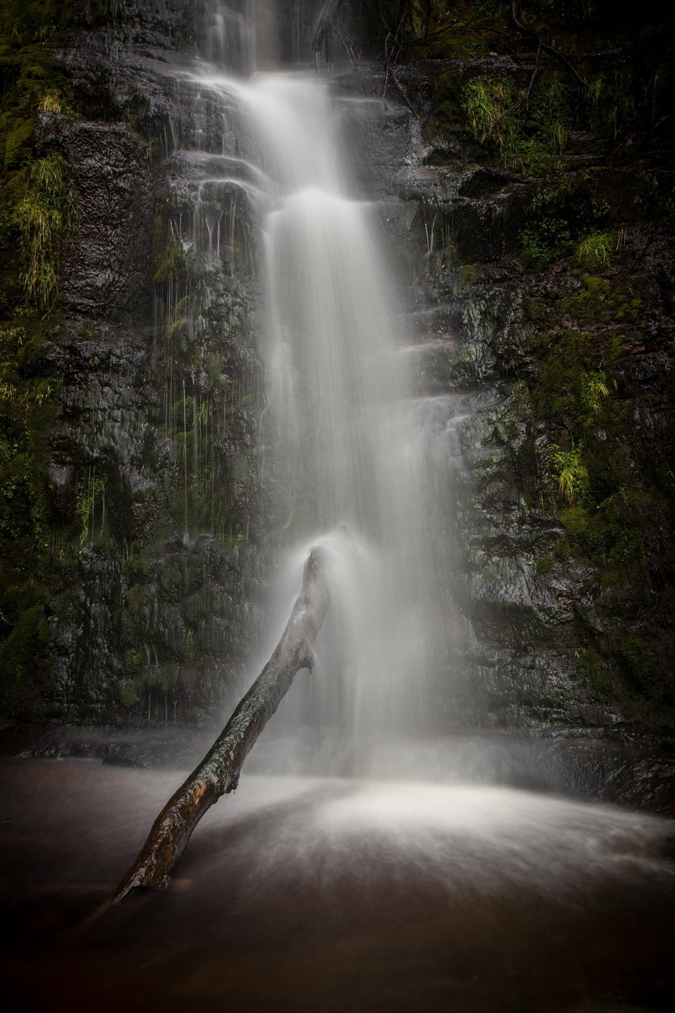 A long exposure photograph of water cascading over a fallen branch at Blaen-y-Glyn, Brecon Beacons. Taken by Landscape Photographer Kieran Metcalfe. Prints available.